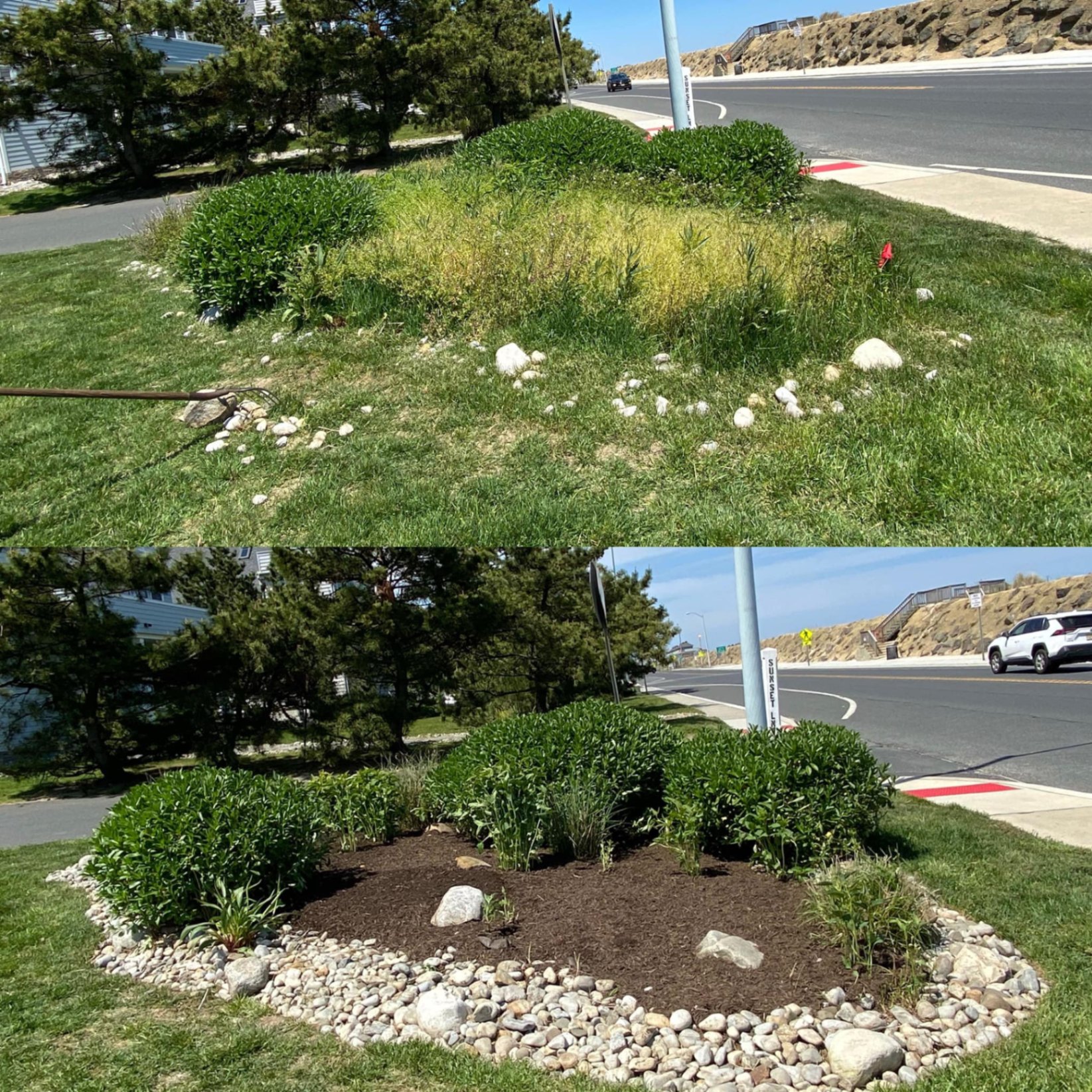 Streetside planting bed: before and after