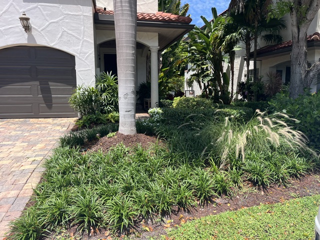 Front-yard bed with ornamental grasses and palm trunk at a Palm Beach home