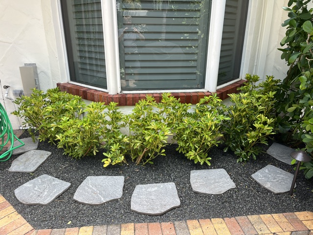 Lava-rock drainage zone with flagstone stepping-stones and trimmed azaleas