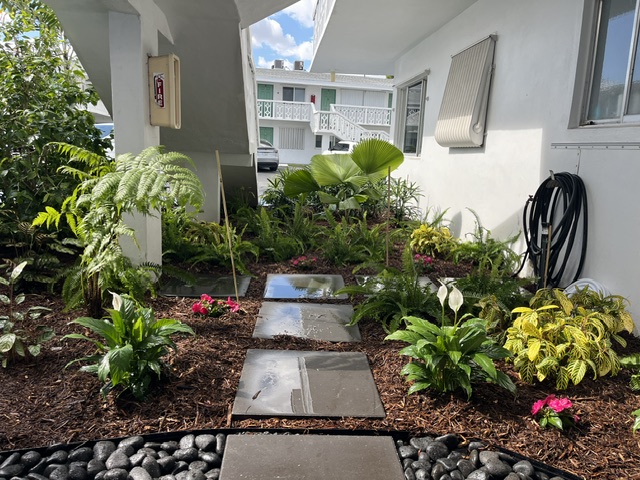 Stepping-stones through a freshly mulched tropical garden bed