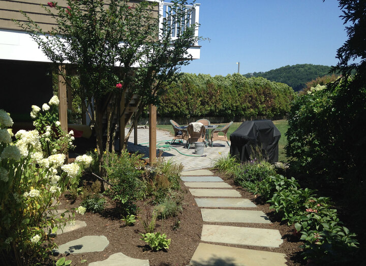 Stepping-stone path through a mulched garden bed with white hydrangeas and tall evergreens