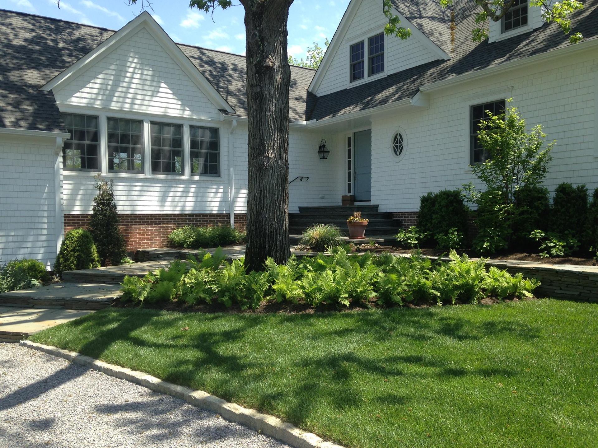 Shingle-style home entry with bluestone steps and fern border